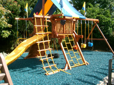 Lots of fun stuff in the back yard